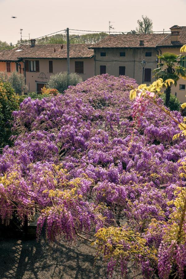 Il Glicine B&B Ristorante Cazzago San Martino Екстериор снимка